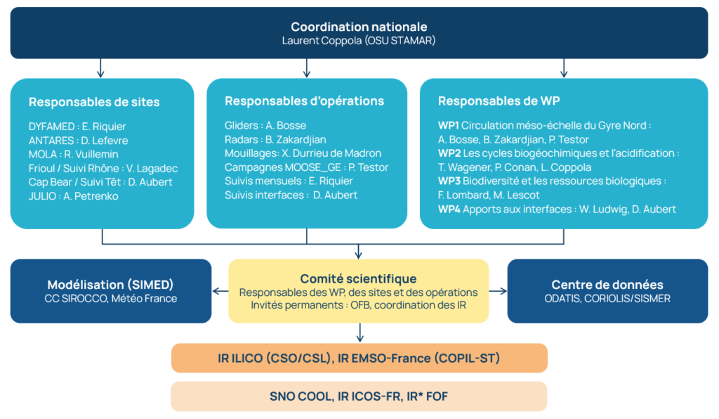 Organigramme structurel du réseau MOOSE